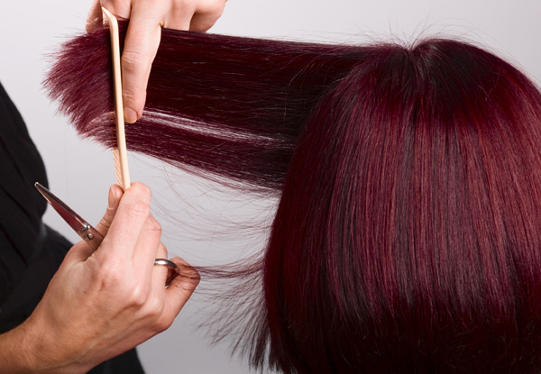 $49 for a Ladies' Cut & Style Package incl. GHD finish or Blow Wave, or $95 for a Half Head Foils or Global Colour - All Options incl. Style Cut, In-Salon Conditioning Treatment & Finish (value up to $210)