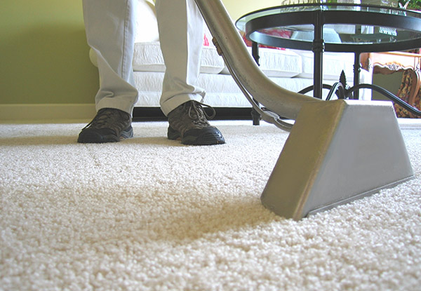 From $55 for a Standard House or Apartment Carpet Clean with Options for up to Five Bedrooms (value up to $280)