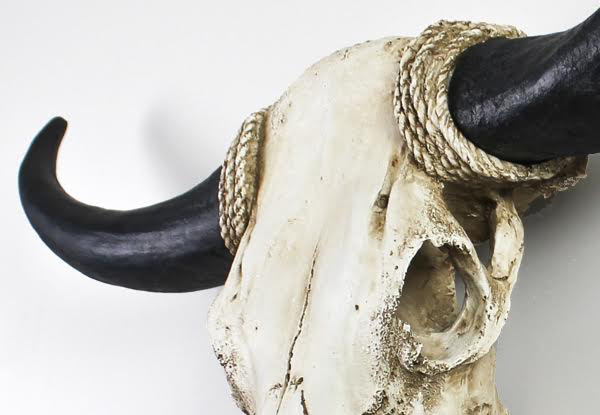 $59.99 for a Faux Cow Skull (value $199.90)