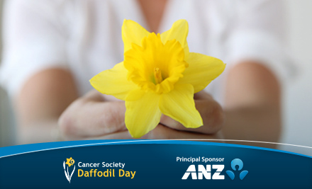 Donate $3 to the Cancer Society and Support the 25th Anniversary of Daffodil Day