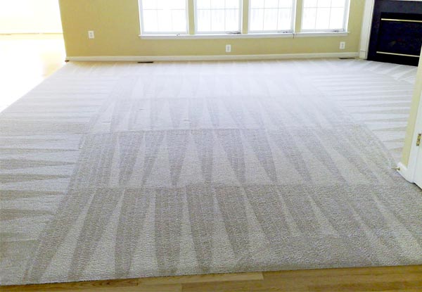 From $65 for a Carpet Clean for Three Rooms of Your Choice – Options Available for Four, Five or Six Rooms (value up to $240)
