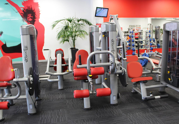 $129 for a Three-Month Membership Auckland North Locations, $240 for Six Months or $398 for Twelve Months – All incl. a 30-Minute Consultation with an Exercise Professional & Access Pass – 56 Locations Nationwide