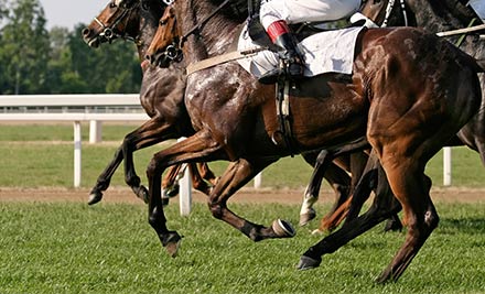 $29 for a General Admission Ticket to the New Zealand Herald Boxing Day Races, Roast Dinner, Glass of Bubbles or Bottle of Stella Artois, & $5 TAB Voucher