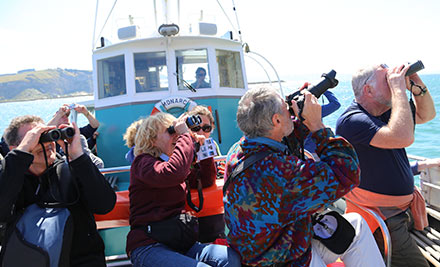 $45 for a Half-Day Wildlife Cruise for One Adult - Options for a Child & up to Four Adults (value up to $360)
