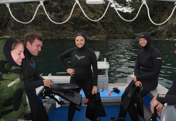 $89 for a Half Day Guided Snorkel Experience at Either Goat Island, Tawharanui Marine Reserve or Kawau Island or $175 for Two People – Both Options incl. Boat Trip, Snorkel Gear, Fins & Wetsuit