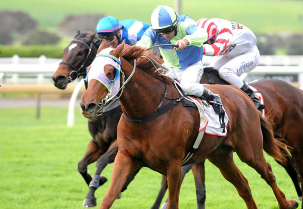 $30 for an Irish Racing Day Event incl. Roast Dinner, Drink at the Racecourse, Betting Coupon & Transport - Newmarket, Saturday 28th May 2016 (value up to $64.50)