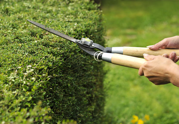 $25 for One Hour of Gardening Services or $50 for Two Hours – incl. Lawn Mowing, Hedge Trimming, Tree Pruning, Water Blasting & More