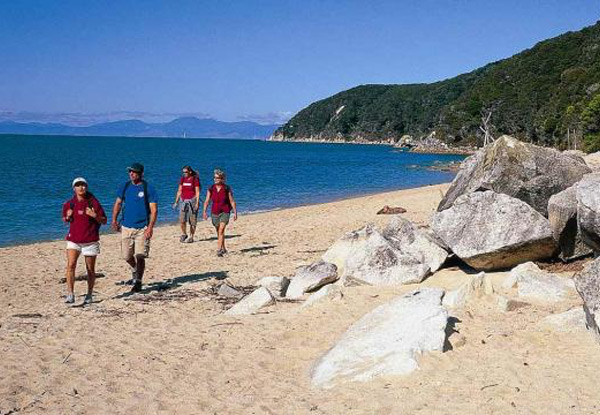 $40 for an Adult Awaroa Abel Tasman Vista Cruise or Cruise & Walk or $24 for a Child (value up to $80)