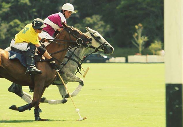 $55 for One GA Ticket to the Wellington Heineken Urban Polo on Saturday 11th February (value up to $78)