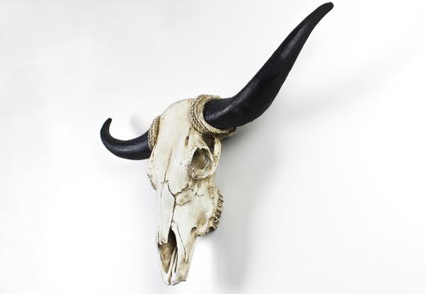 $59.99 for a Faux Cow Skull