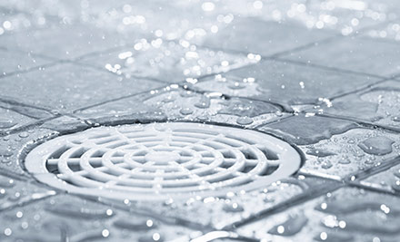 $109 for a CCTV Drain Camera Inspection of One Drainage Line or $169 for Two Drainage Lines - Both incl. DVD & Reports