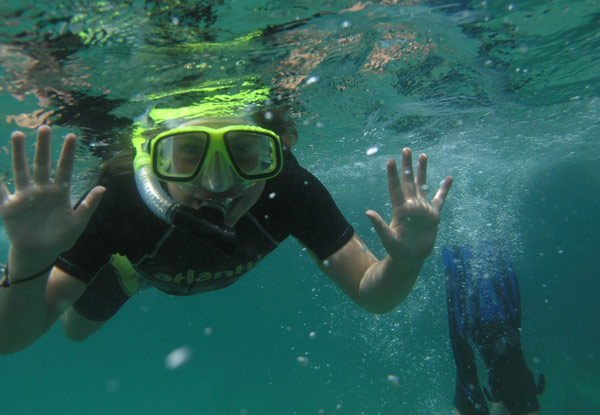 $15 for a Pre-Season Ticket for One Adult or Child on the Glass Bottom Boat at Goat Island - Options for up to 20 People (value up to $600)