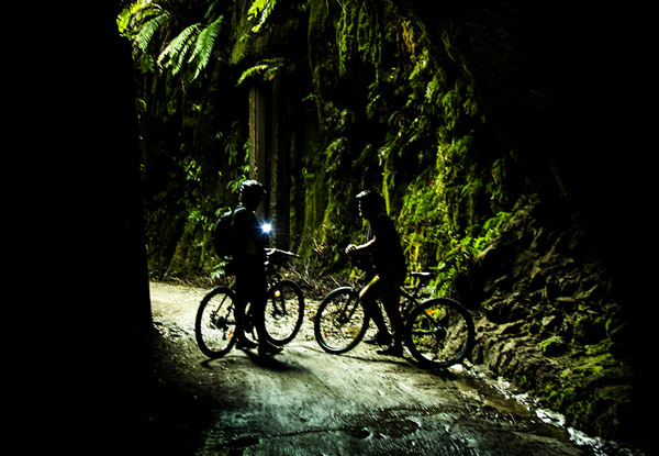 $119 for a Shuttle Service & Full-Day Mountain Bike Hire for Two People (value up to $200)