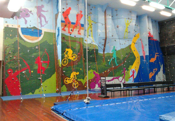 $10 for a One-Day Indoor Rock-Climbing Pass incl. Harness (value up to $19)