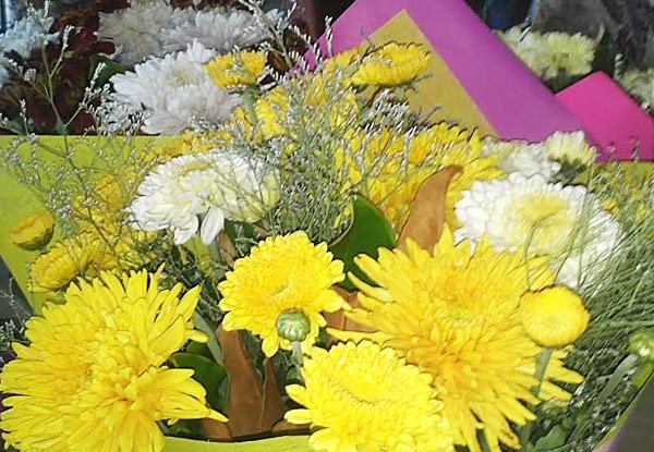 for a Large Bunch of Chrysanthemums North Island Delivery Available for a Large Bunch of Chrysanthemums North Island Delivery Available