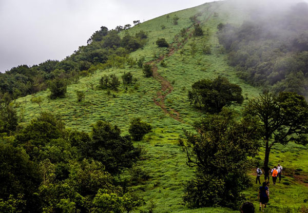 $599pp Twin Share for a Seven-Day Coorg, India Tour Package with Trekking incl. Accommodation, Guides, Meals & More