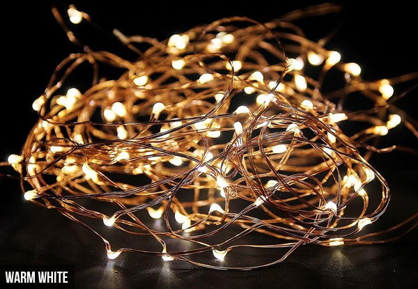 $9.90 for Two Sets of 2.3m LED Copper Wire Seed String Lights, $18.90 for Four Sets, $27.90 for Six Sets, $36.90 for Eight Sets or $45.90 for Ten Sets – Four Colours Available