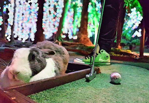 One Round of Mini-Golf with Rabbits for One Person - Options for up to Six People