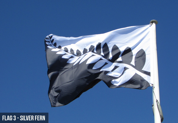 $20 for One of the Five Potential New Zealand Flags