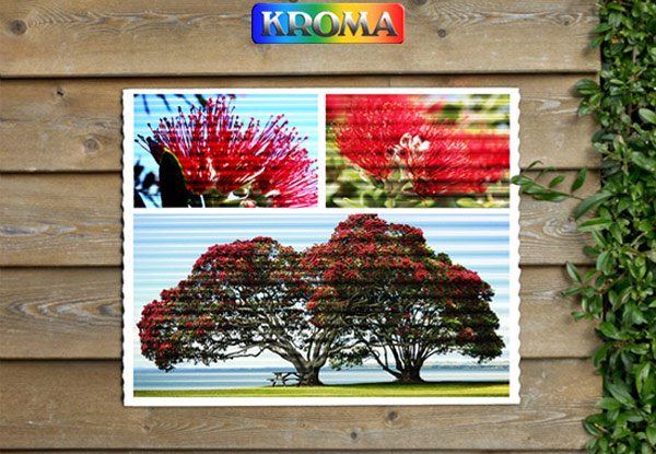 From $29 for Corrugated Iron Prints incl. Nationwide Delivery – Available in Five Different Sizes