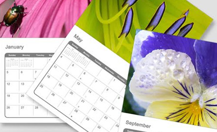 $15 for a $30 or $30 for a $60 Printing & Print Service Voucher