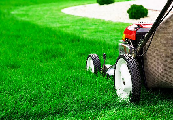 From $23 for a Full Lawn Mowing & Edging Service incl. Clipping Removal – Options for up to 90 Minutes of Lawn Mowing