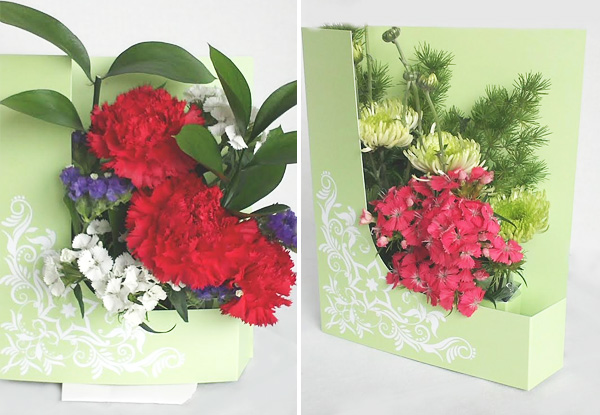$19.95 for a Fresh Living Flower Card incl. Nationwide Delivery (value up to $49.90)