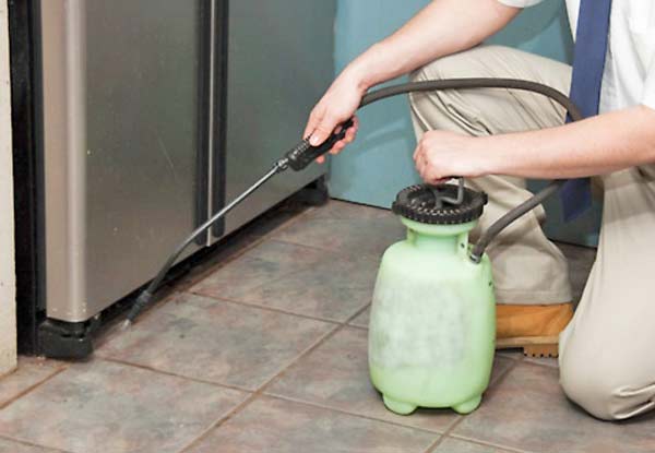 From $65 for a Pest Control Spray Treatment – Interior & Exterior Options Available (value up to $250)