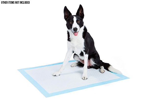 Dog & Puppy Potty Training Pads - Two Sizes Available & Option for Two Packs