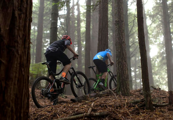 $25 for a Comprehensive Bike Service, Safety Check & an Inner Tube (value up to $59)