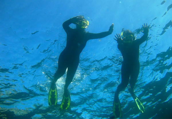 $69 for a Guided Four-Hour Snorkel Experience at Either Goat Island or Tawharanui Marine Reserves or $130 for Two People - Both Incl. Boat Trip, Snorkel Gear, Fins & Wetsuit (value up to $260)