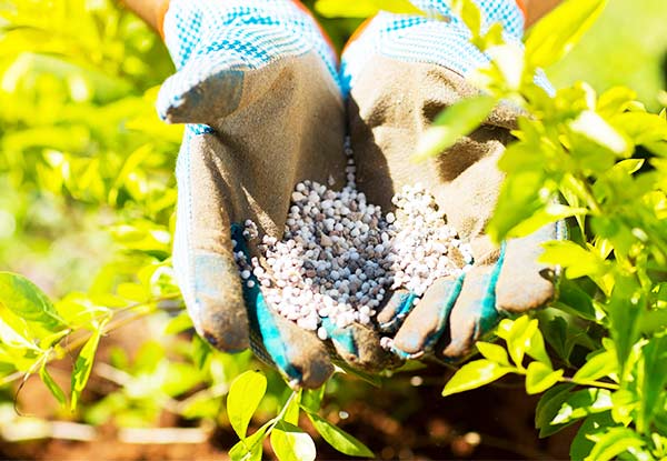 $49 for up to 50m² of Garden/Lawn Fertilisation Services
