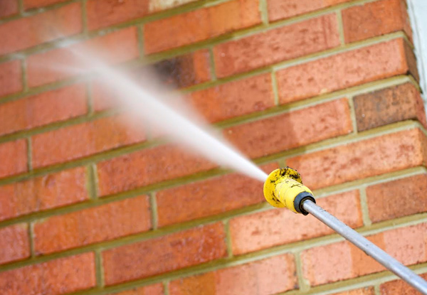 From $99 for a Domestic Gutter Clean & Full Exterior Pest & Spider Spray (value up to $320)