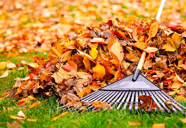 $59 for Two Hours of Gardening Services - Options for Three or Fours Hours