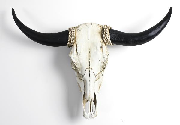 $59.99 for a Faux Cow Skull