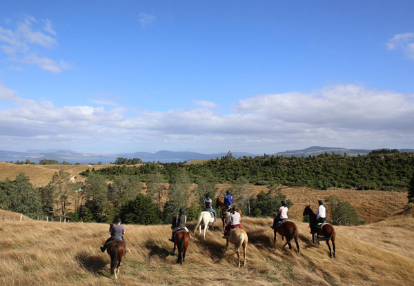 $38.50 for a One-Hour Horse Trek (value up to $55)