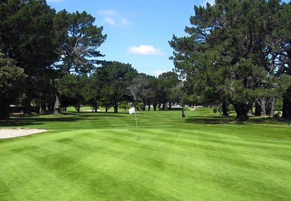 $25 for One Round of Golf & One Drink (value up to $70)