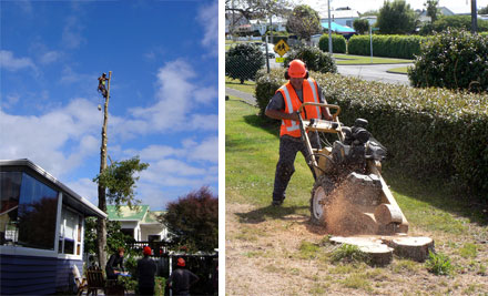 $160 for a $315 Specialist Outdoor Services Voucher - Valid for Aborist Work, Pruning, Landscaping & More