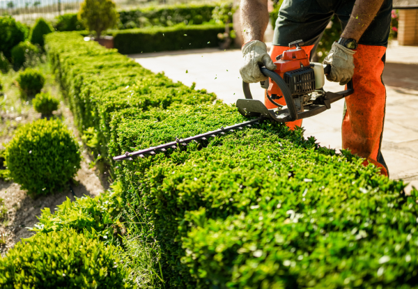 Two-Hour Hassle-Free Yard & Garden Care Service - Options for Three or Four-Hour Service
