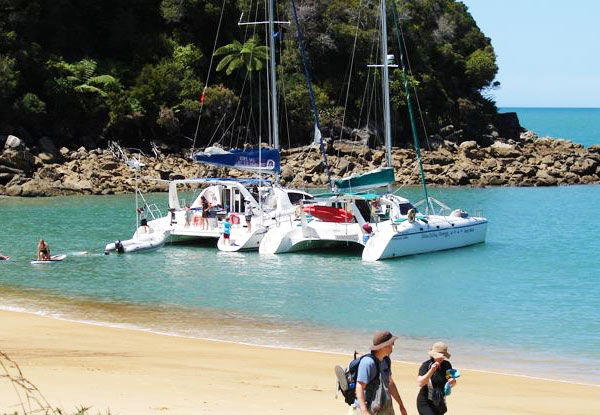$35 for a 90-Minute Father's Day Sailing Special Around Wellington Harbour incl. Sausage Sizzle & Drink (value up to $65)