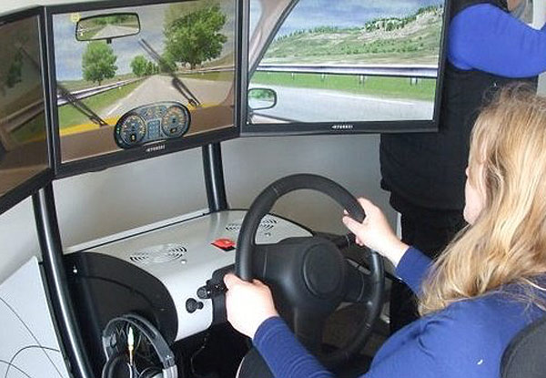 $39 for a 60-Minute Simulator or Road Driving Lesson (value up to $75)