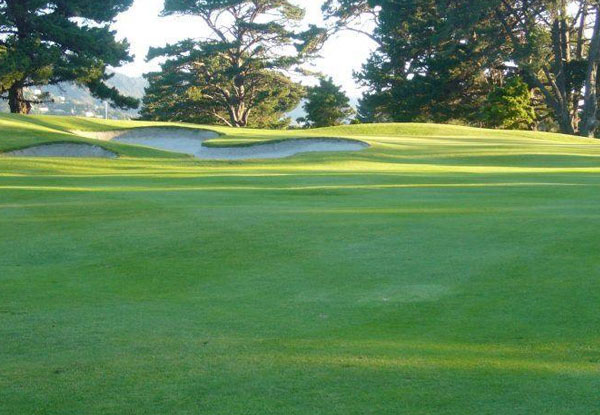 $25 for One Round of Golf & One Drink (value up to $70)