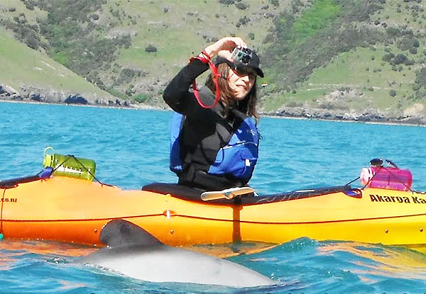 $75pp for a Three-Hour Guided Akaroa Sea Kayaking Experience incl. Snacks & Photo Options