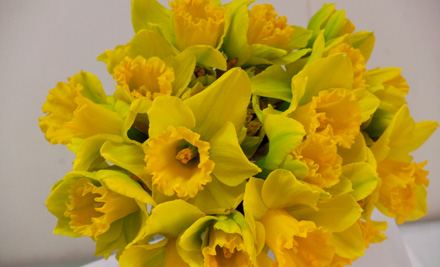 $29 for a Fresh Fruit & Vege Pack incl. a Bunch of Daffodils & North Island Urban Delivery