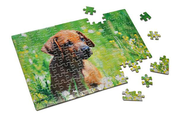 Personalised Jigsaw Puzzle - Four Options Available