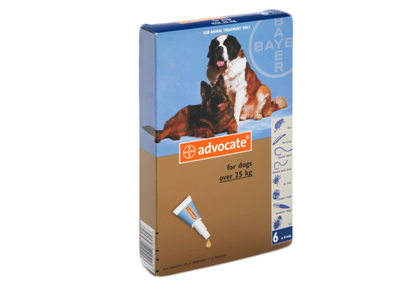 From $140 for 12 Tubes of Advocate Flea Treatment for Cats & Dogs incl. Urban Delivery
