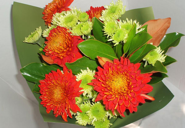 From $19.50 for a Medium Bouquet of Chrysanthemums or From $39.50 for Large Bouquet - Perfect for Mothers Day! (value up to $95)