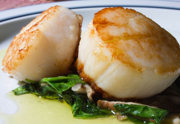 $16 for Six Fresh NZ Scallops or $25 for 12 Scallops  incl. a Glass of Leftfield Wine or Tap Beer at the Hamilton Scallop Festival Launch, 29th September 2016, 6pm (value up to $57)