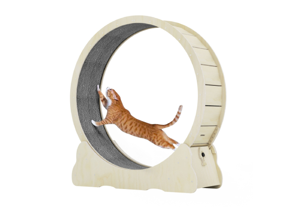 Cat Exercise Wheel - Two Colours Available