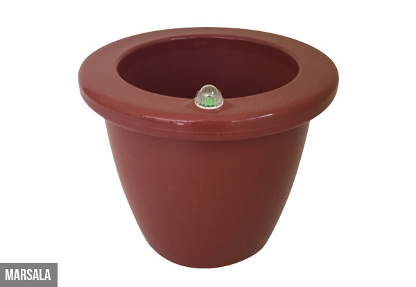 $11 for a Self-Watering Oasis Pot Available in Four Colours (value $19.98)